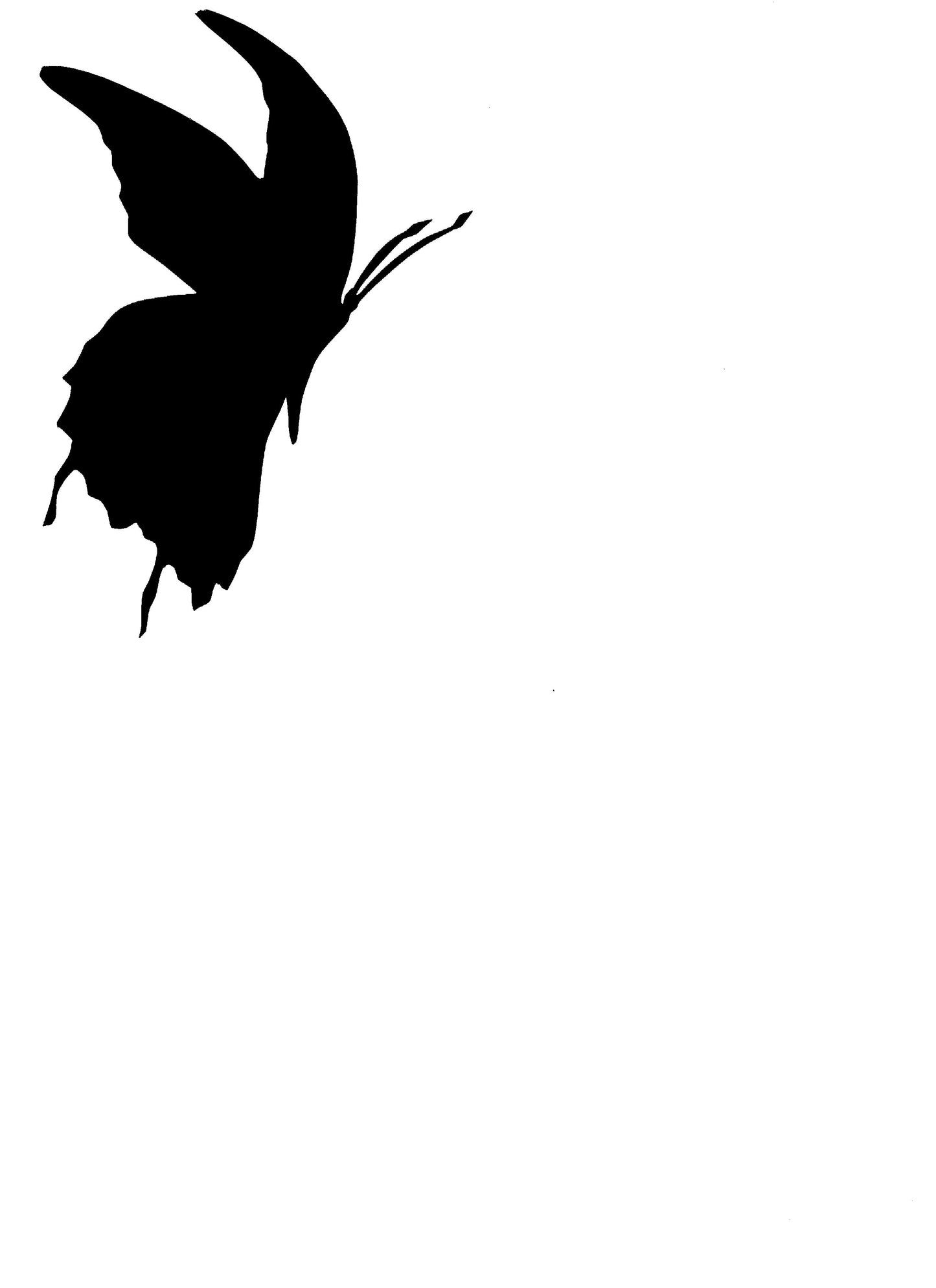 Butterfly shadow