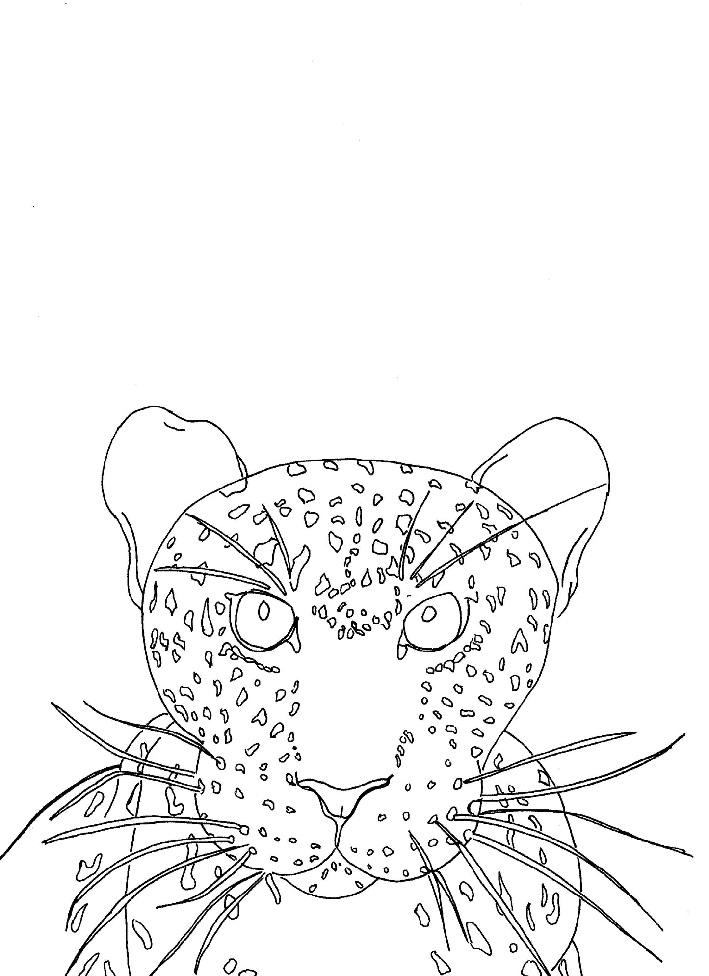 Jungle cat!