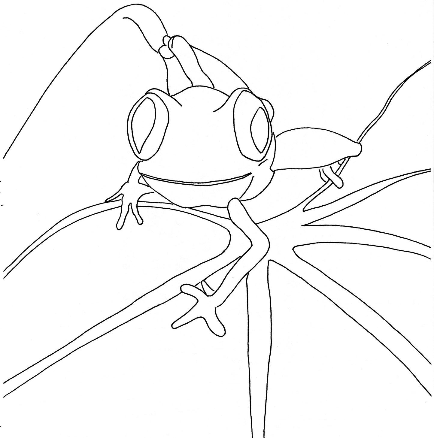 Frog on leaf!