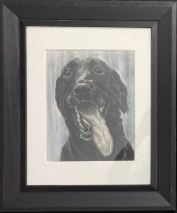 Commission Pet Portraits