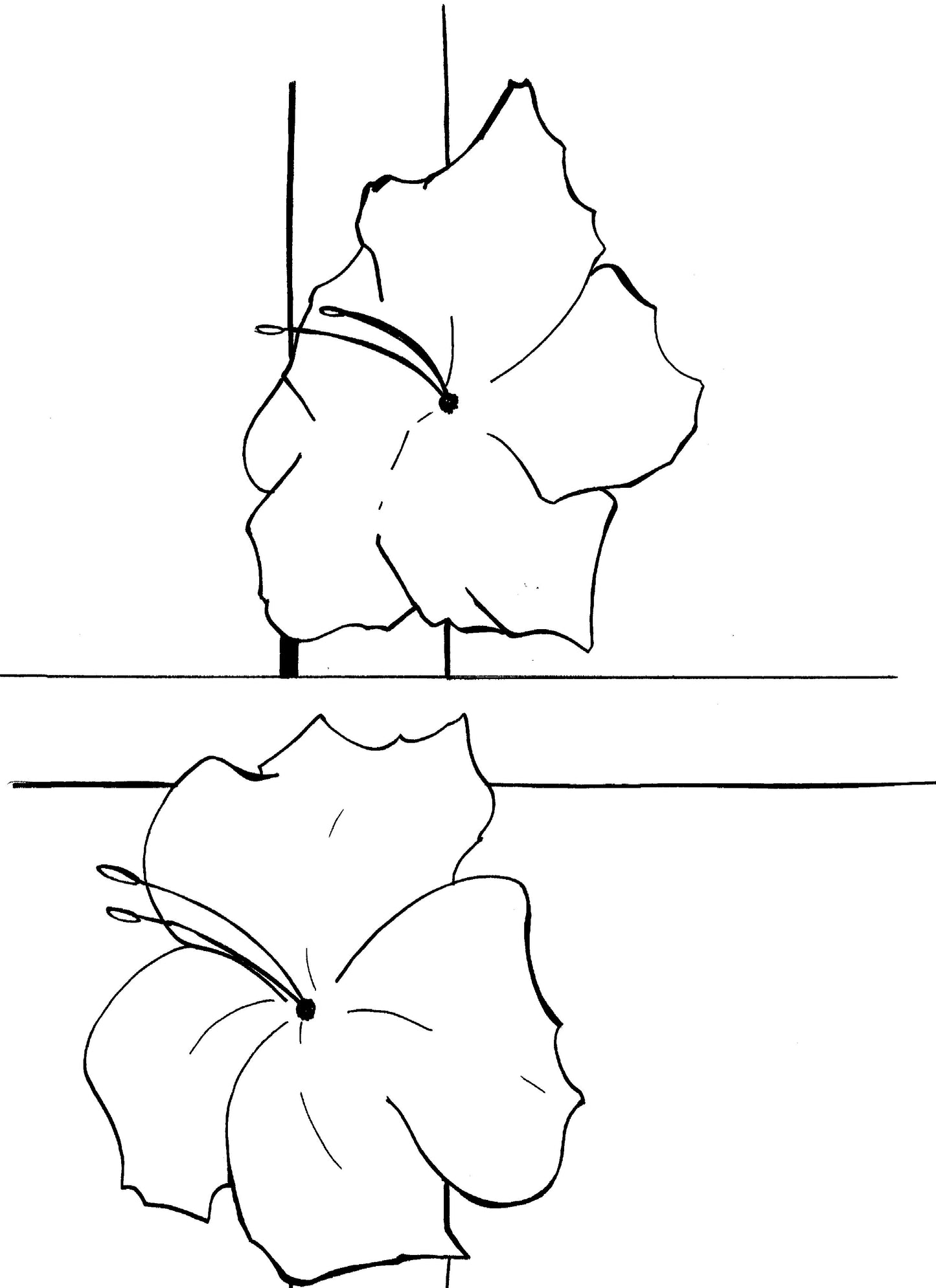 2 Flowers
