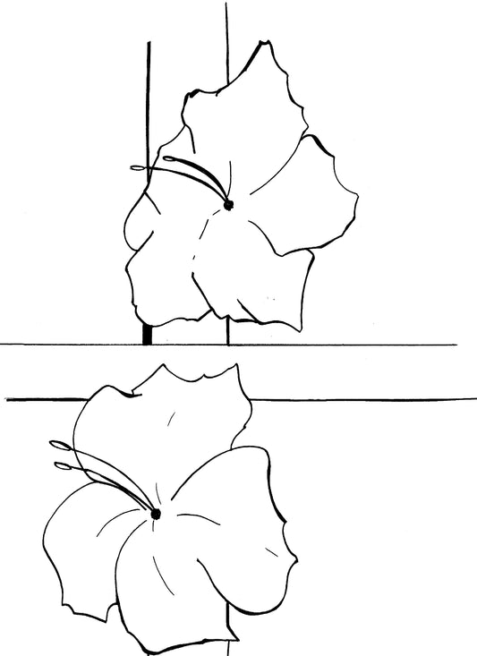 2 Flowers