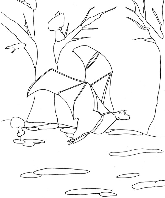 Bat