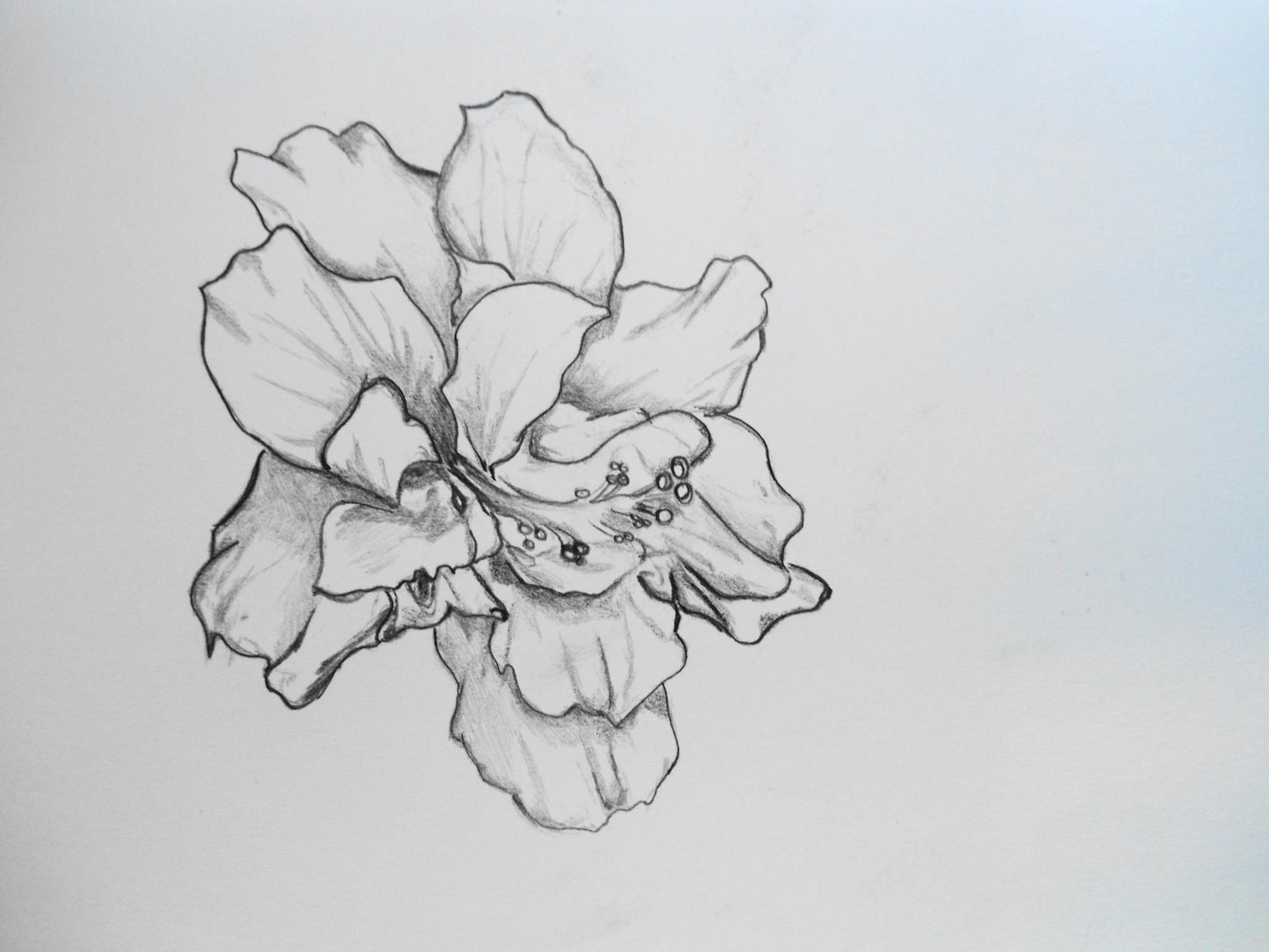Flower 1