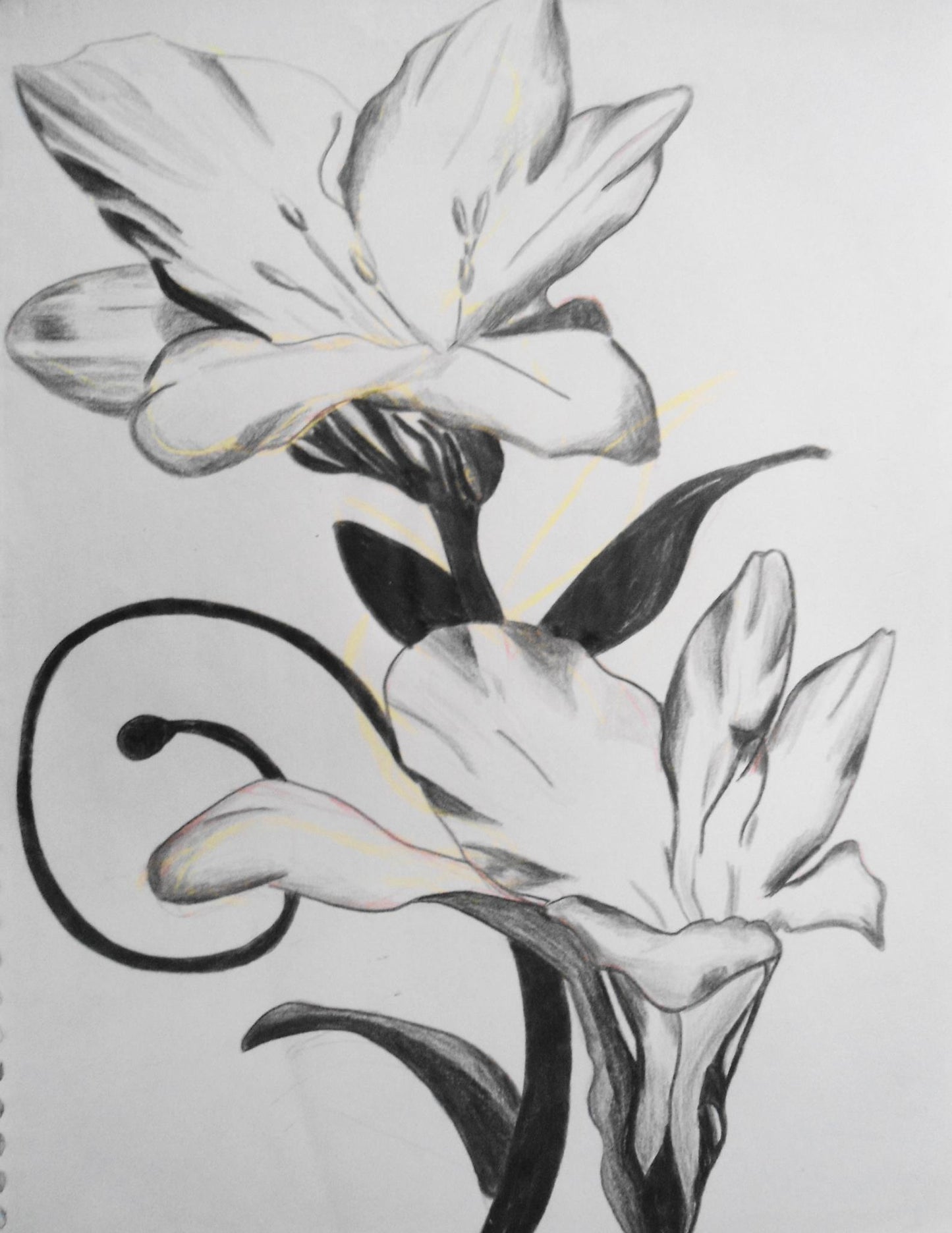 Flower 2!