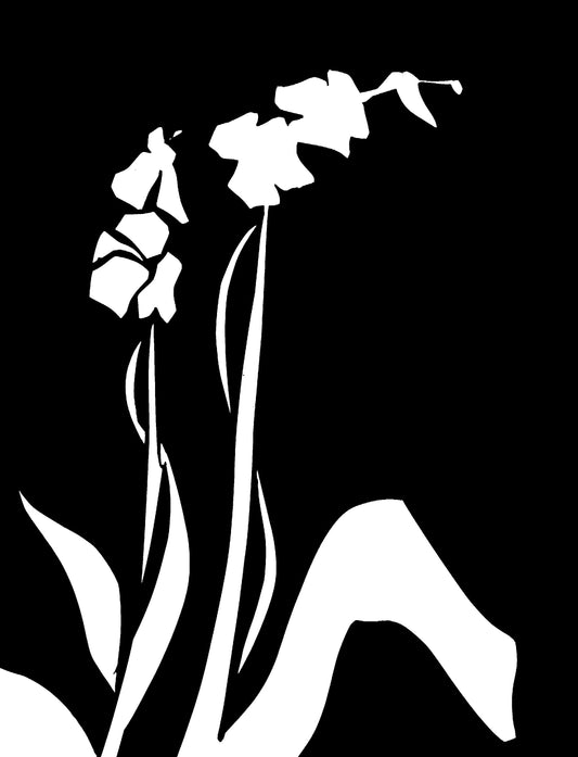 Midnight Orchids!