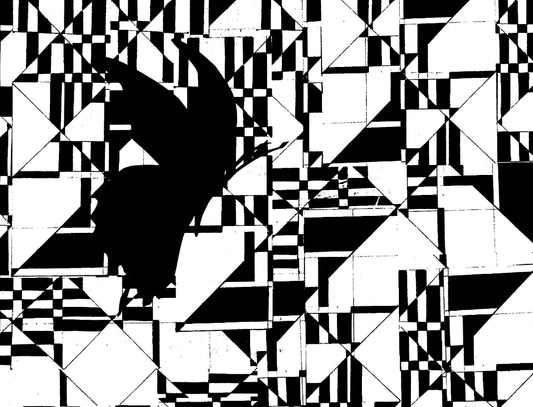 Geometric Butterfly!