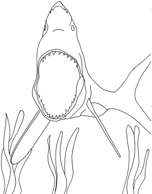 Hungry shark