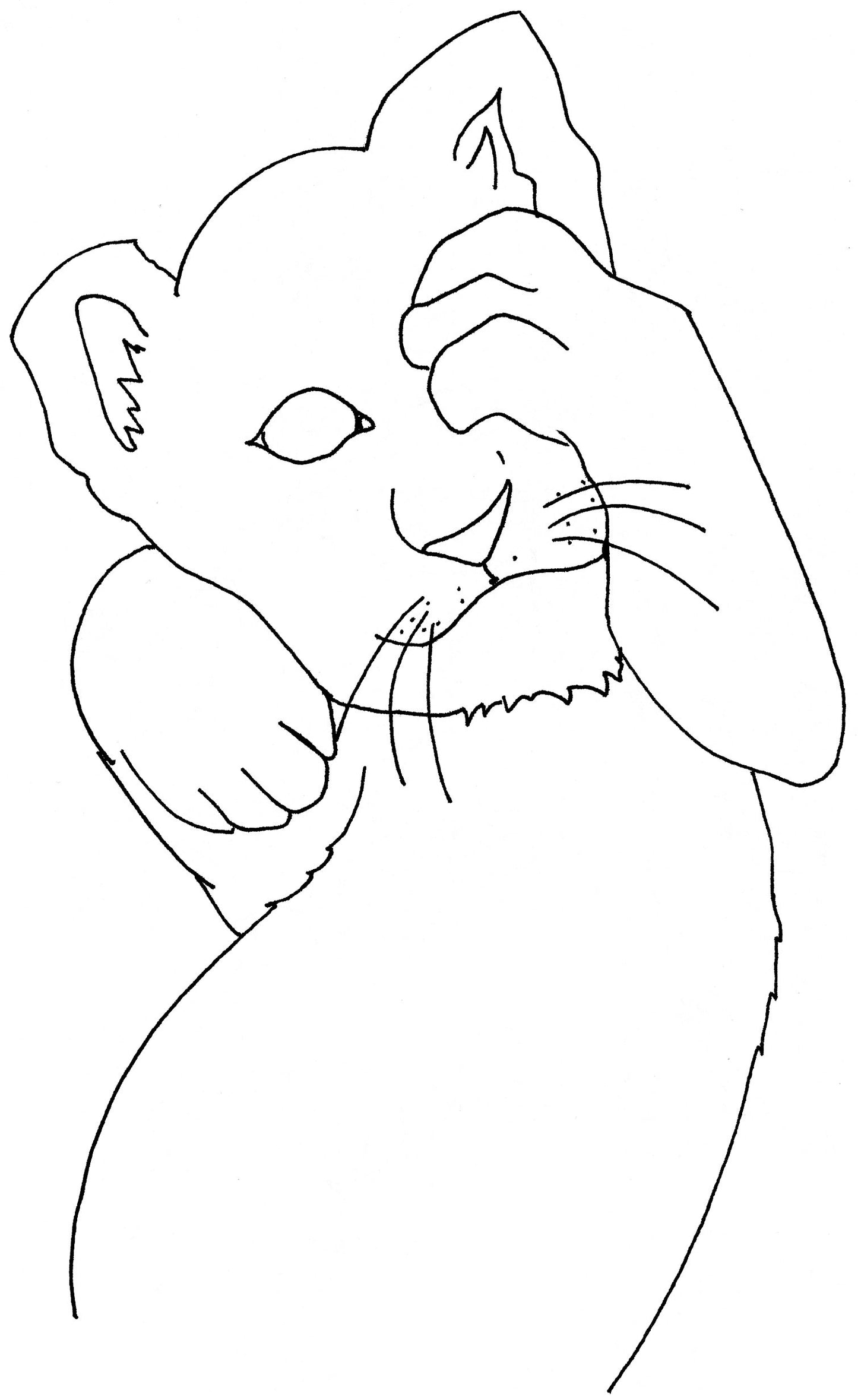 Shy Cub